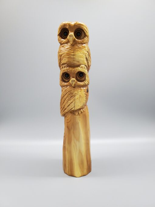 Owl Totem Front View