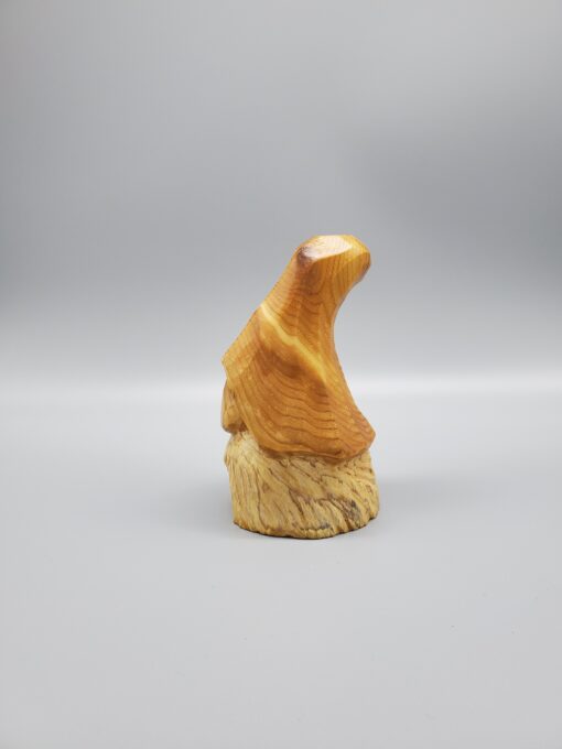 Mini Gnome Left Side View