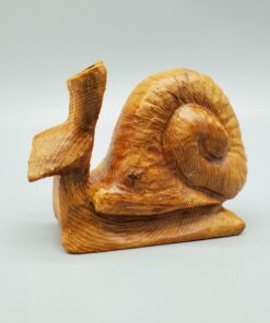 snail left side view