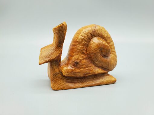 snail left side view