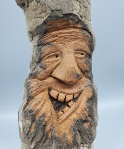 driftwood spirit expression face front