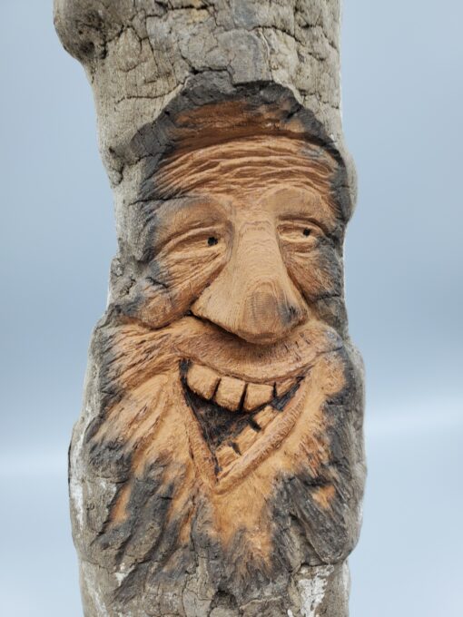 driftwood spirit expression face front