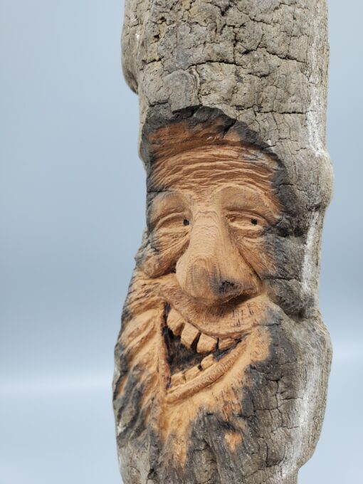 driftwood spirit expression angled face