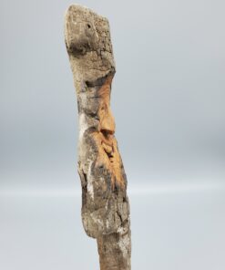 driftwood spirit expression profile