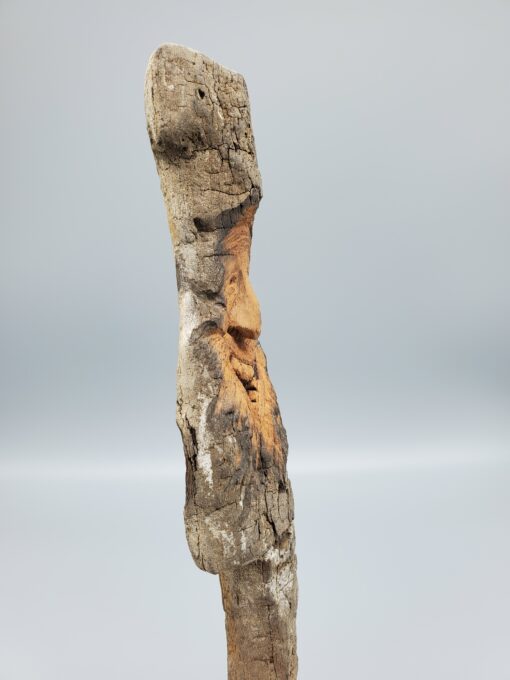 driftwood spirit expression profile