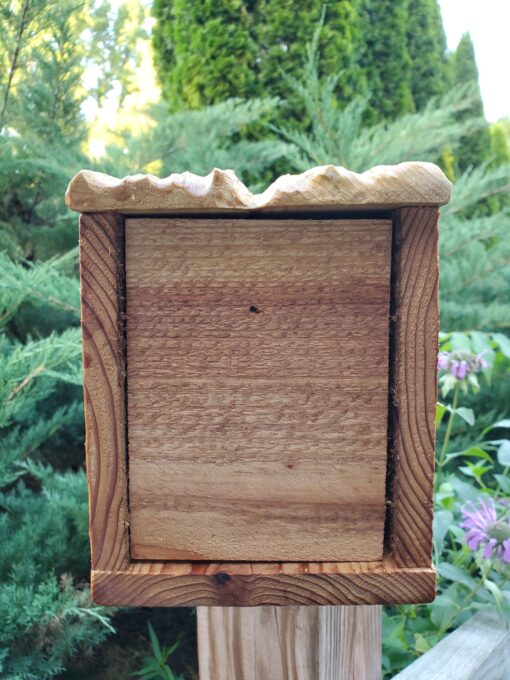 cedar birdhouse bottom view