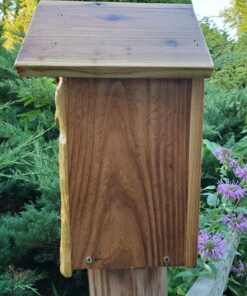 cedar birdhouse side view