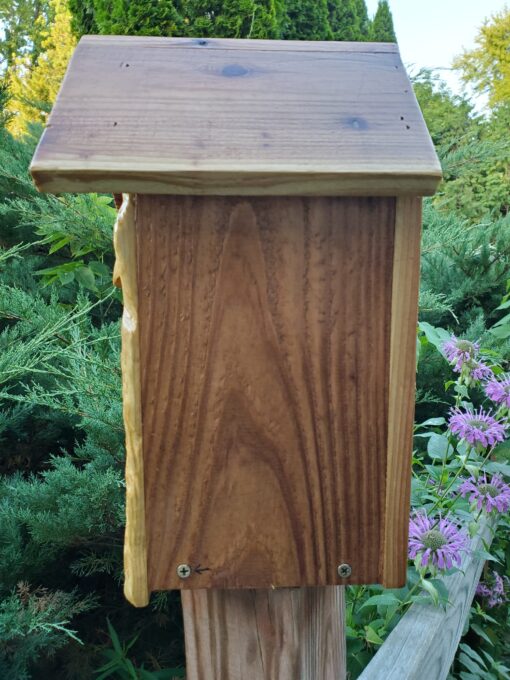 cedar birdhouse side view