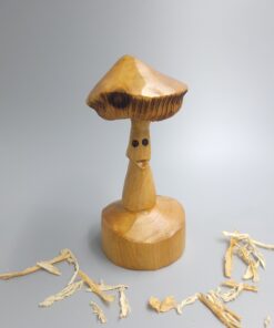 Fun Guy Mushroom - RANDOMLY SELECTED