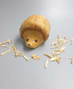 Hedgehog - RANDOMLY SELECTED
