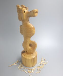Seahorse - RANDOMLY SELECTED
